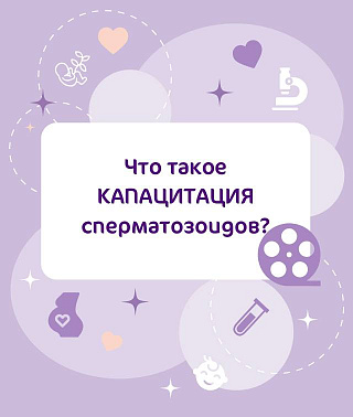 Что такое КАПАЦИТАЦИЯ сперматозоидов?