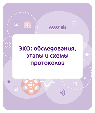 ЭКО: обследования, этапы и схемы протоколов